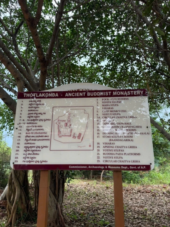 Ảnh bài viết