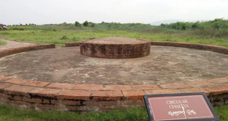 Ảnh bài viết
