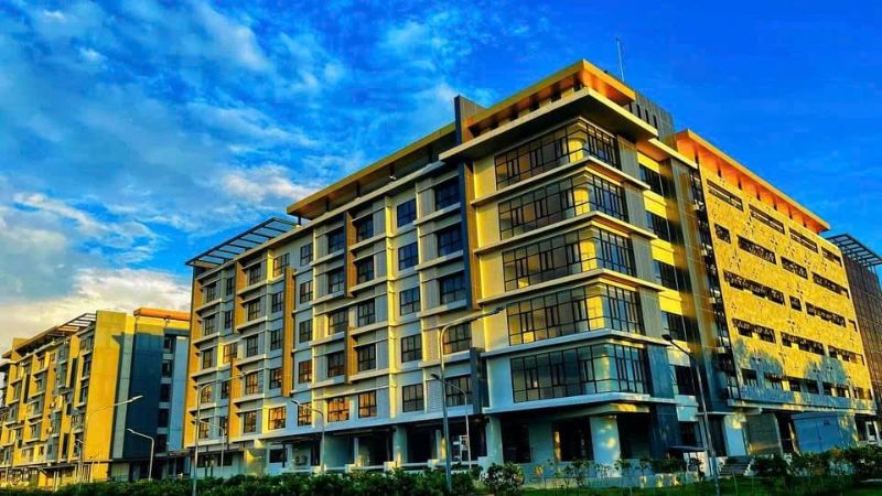 Ảnh bài viết