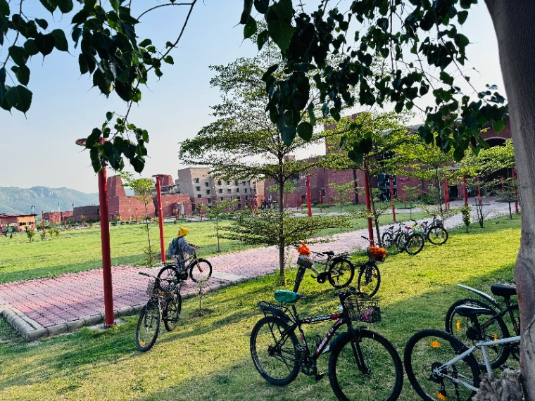 Ảnh bài viết