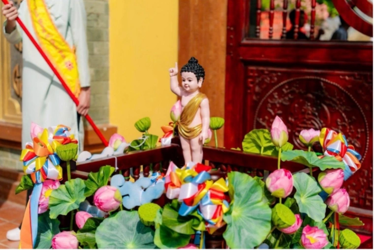 Ảnh bài viết