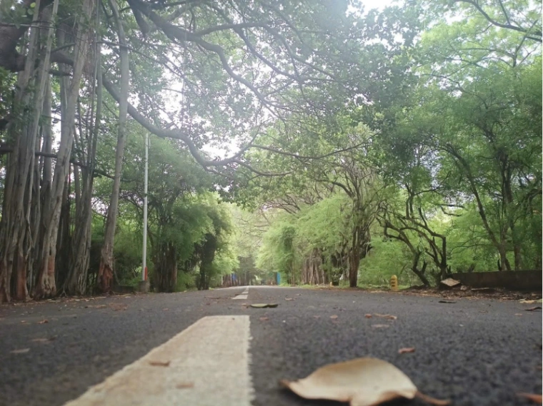Ảnh bài viết