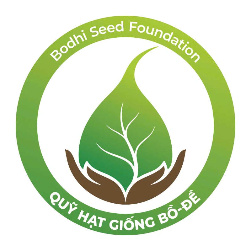 Ảnh bài viết